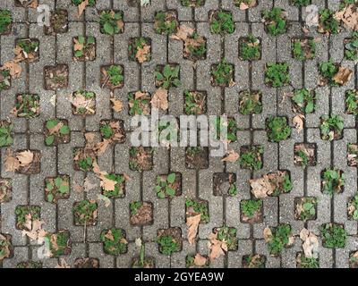 eco friendly parking concrete cells with grass Stock Photo