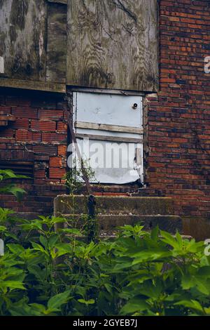 Green plants around abandoned building with barricaded white door and red bricks Stock Photo