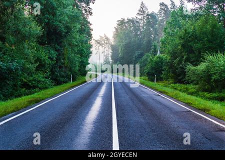 Empty Asphalt Road Through Foggy Forest in Rainy Morning. Stock Photo