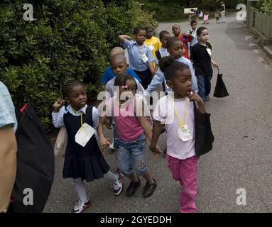 Day camp group of urban children on an outing at the Brooklyn Botanic Garden in Brooklyn, New York. Stock Photo