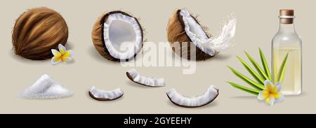 Coconut pulp, water or oil concept. Natural ripe coconut in shell, halved, cut in pieces and squeezed in water drink or oil in glass bottle with leave Stock Photo