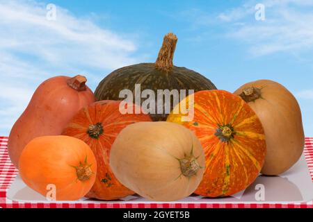 Pile of pumpkins. Close-up of a stack decorative colorful pumpkins on a table in front of abstract blurred natural blue sky background. Concept of hea Stock Photo