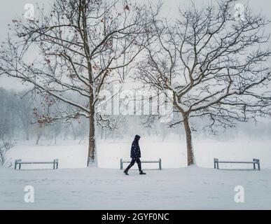 Lonely person walking in the park in a cold and snowy winter day. Seasonal blizzard weather on the street. Snowfall morning in the square and a man go Stock Photo
