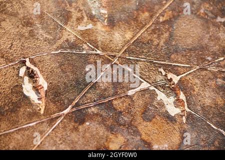 Macro detail of burned hard drive with scratches Stock Photo