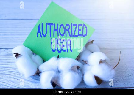 Text caption presenting Authorized User, Internet Concept person granted permission to manage access or make decisions Blank Piece Of Sticky Note Plac Stock Photo