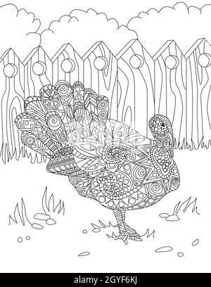 Sketch of peacock. Hand drawn illustration converted to vector Stock Vector  | Adobe Stock