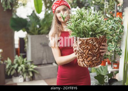 Young Office Woman Peeking Through Small Green Plants in White Vase on her Hand Stock Photo