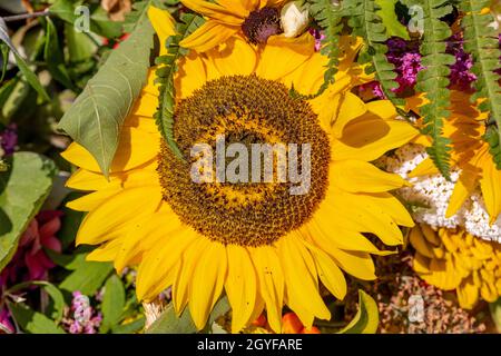 Traditional bouquet of flowers, herbs and fruits that are the symbol of summer Stock Photo