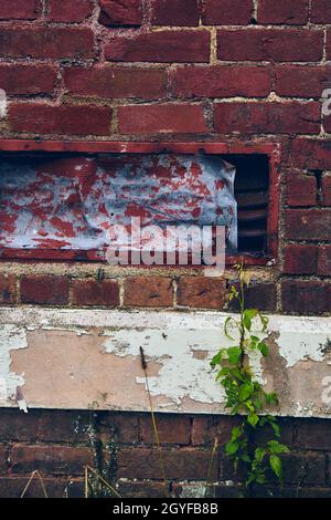 Abandoned building close-up of red brick wall with holes and peeling paint Stock Photo