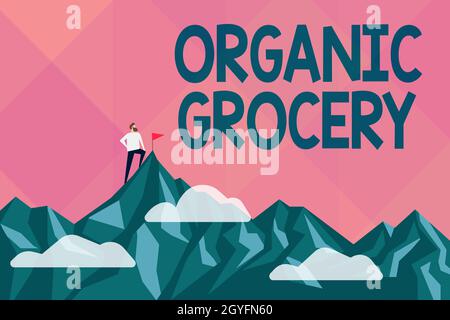 Text sign showing Organic Grocery, Business concept market with foods grown without the use of fertilizers Abstract Reaching And Achieving Goal, Resul Stock Photo