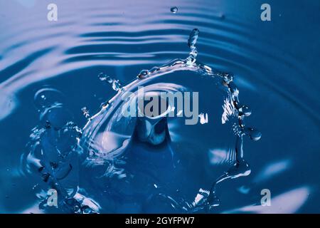 Water drops crashing together on blue water surface Stock Photo