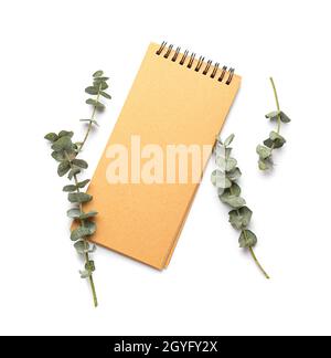 Blank notebook and fresh eucalyptus branches on white background Stock Photo