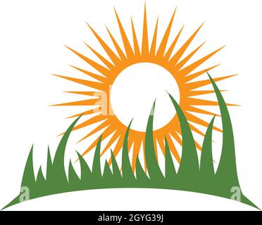 Grass ilustration vector template Stock Vector