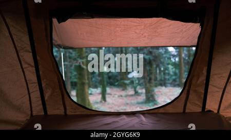 View from the tourist inside tent in the forest. Adventure travel lifestyle wanderlust. Trees are seen from tent window. Camping in a Forest Stock Photo