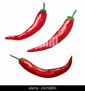 Watercolor painted red hot chili peppers isolated on white background. Design element for menu and restaurants. Stock Vector