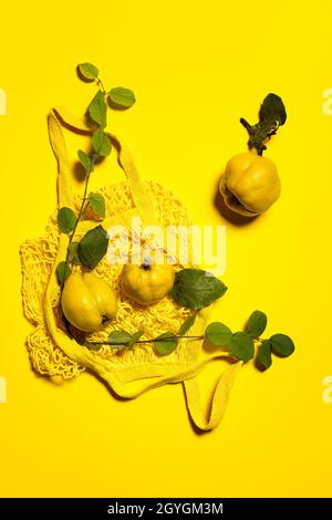 Three quince apples, quince tree branches and yellow net string shopping bag. Flat lay on yellow paper background. Fruits and leaves have natural impe Stock Photo
