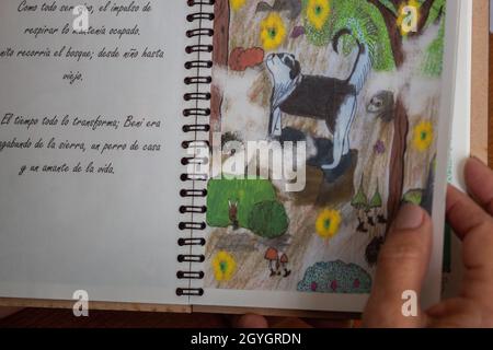 Hand holding open spiral book with Spanish text and dogs drawings Stock Photo