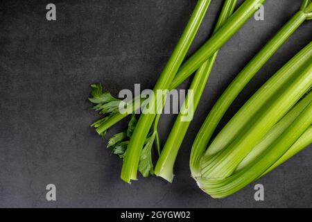 Freshly harvested celery stalk on dark stone background Stock Photo
