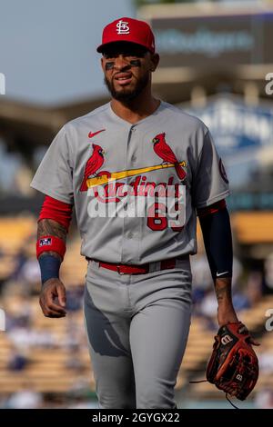 Edmundo Sosa - Infielder: St. Louis Cardinals