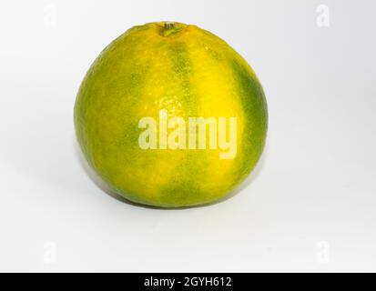 Two sour tangerines in green and yellow. isolated on white background,noise effect Stock Photo