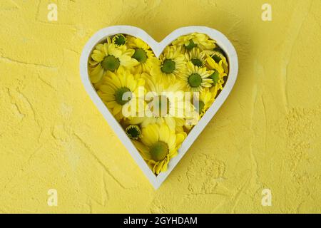 Heart with chrysanthemums on yellow textured background. Stock Photo