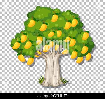 Mango tree on transparent background illustration Stock Vector