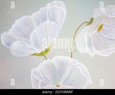 Abstract white flower with delicate shades of color painted with oil paints on canvas Stock Photo