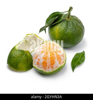 Green mandarin and a peeled one isolated on white background close up Stock Photo
