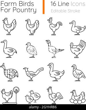 Set of birds Icons. Simple art style icons pack. Vector illustration ...
