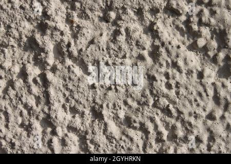 a light gray patterned wall Stock Photo