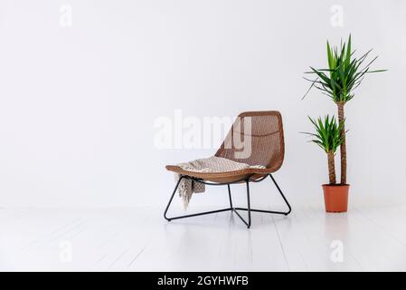 Modern chair and house plant in white empty room. Contemporary home interior design. Minimal luxury real estate style idea. Stock Photo