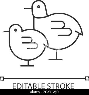 Chicks linear icon Stock Vector