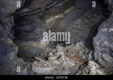 Remains of former WW2-era field hospital underground shelter in Prague-Vysočany (Svatošových street), later destroyed after brownfield reclamation. Stock Photo