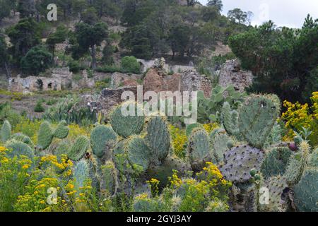 Aranzazu del Cobre mine town abandoned. Stock Photo