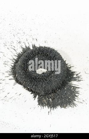 Circular magnet with iron particles on white background. Stock Photo