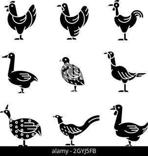 Domesticated birds black glyph icons set on white space Stock Vector
