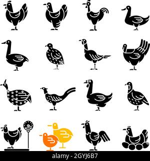 Farm birds for poultry black glyph icons set on white space Stock Vector