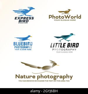 Set of fast bird logo design Stock Vector