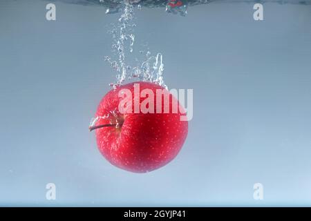 Apple falls into water on a light background. Stock Photo