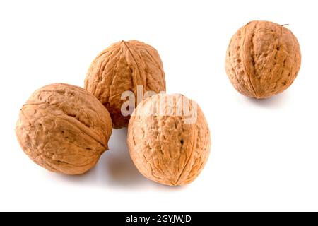 Walnuts isolated on white background. Whole nuts. Stock Photo