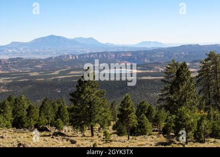 View over one of the many mountain lakes and the mixed Pine and Conifer Forest of Dixie National forest in Utah, USA Stock Photo