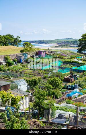 Lions House Allotments or berwick Community Allotments in Berwick-upon-Tweed or Berwick-on-Tweed Northumberland England GB UK Europe Stock Photo