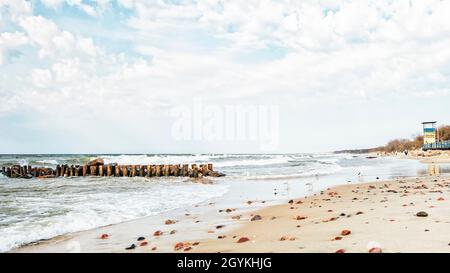 Baltic Sea Coast: Seagulls on a sandy beach and a breakwater in a rough sea Stock Photo