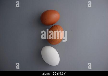 Speckled, brown, and white eggs flat lay organic styling on gray texture abstract background. Top view, center composition with space. Stock Photo