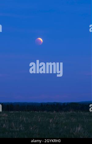 The total lunar eclipse of May 26, 2021, here in the late partial phase, with a bright arc of the Full Moon at the top of the disk still in sunlight. Stock Photo