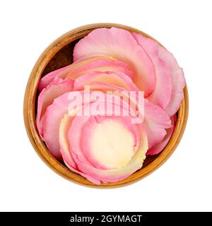 Rose petals in a wooden bowl. Freshly picked petals of a light pink colored garden rose, called China, Chinese or Bengal rose. Rosa chinensis. Stock Photo