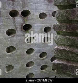 Artistic endeavors take many forms. Stock Photo