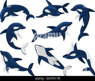 Cartoon orca whales, sea predator killer whale. Sea creature orca whale, underwater fauna killer whales isolated vector illustration set. Marine orca Stock Vector
