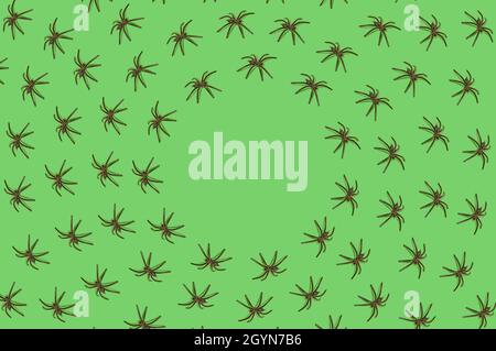 Pattern made of black spiders on a green background. Halloween scary nightmare concept. Copy space circle Stock Photo