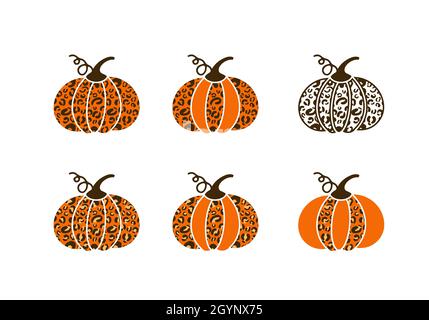 Leopard pumpkin bundle.  Cute autumn decorations. Vector template for Thanksgiving Day, Halloween, harvest festival, etc. Stock Vector